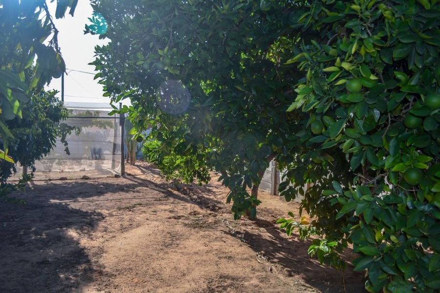 5 Bedroom Property for Sale in Klawer Western Cape